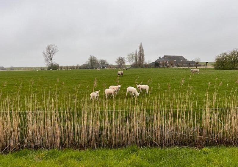 스탠다드 룸, B&b Oldenbosch