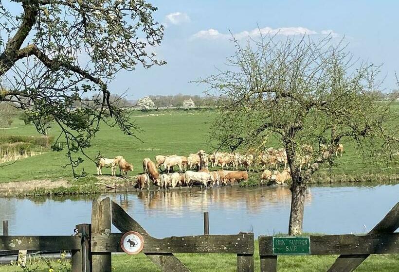 סוויטה, De Os En Het Paard