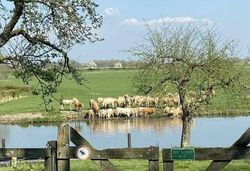 スイート, De Os En Het Paard