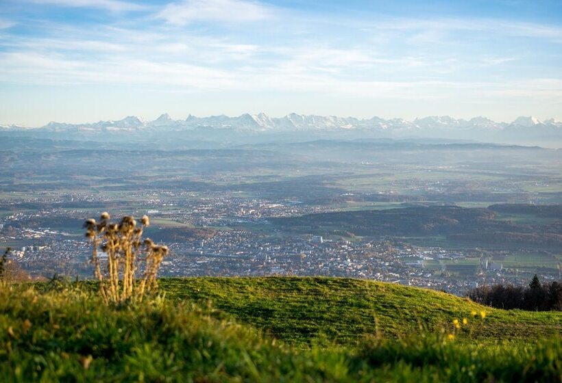 غرفة سوبيريور, Weissenstein