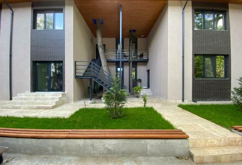 디럭스 룸, Forest M,constanta