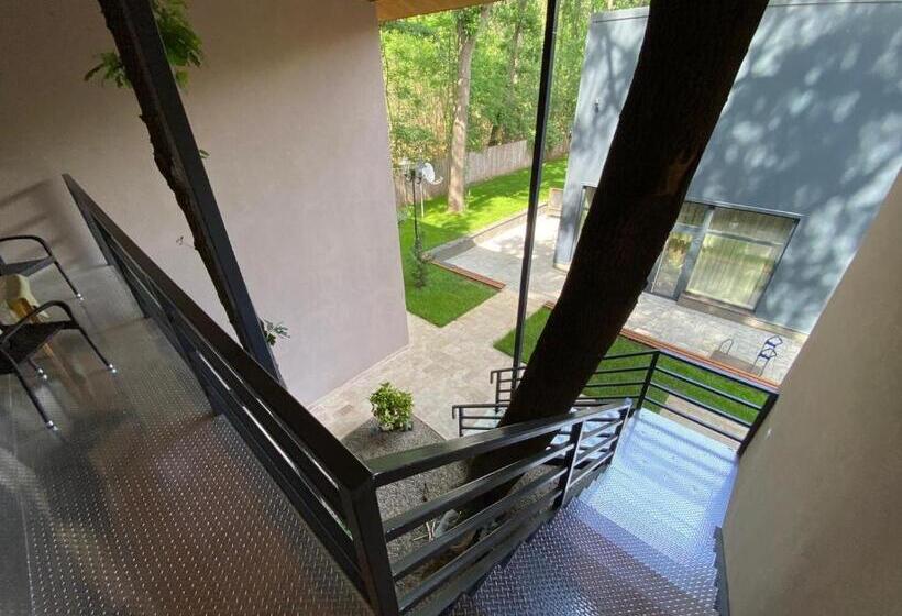 디럭스 룸, Forest M,constanta