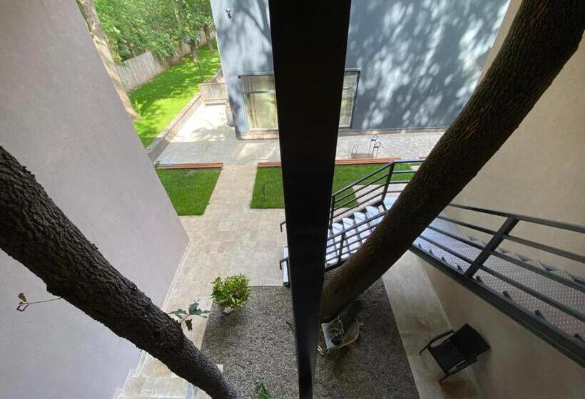 디럭스 룸, Forest M,constanta