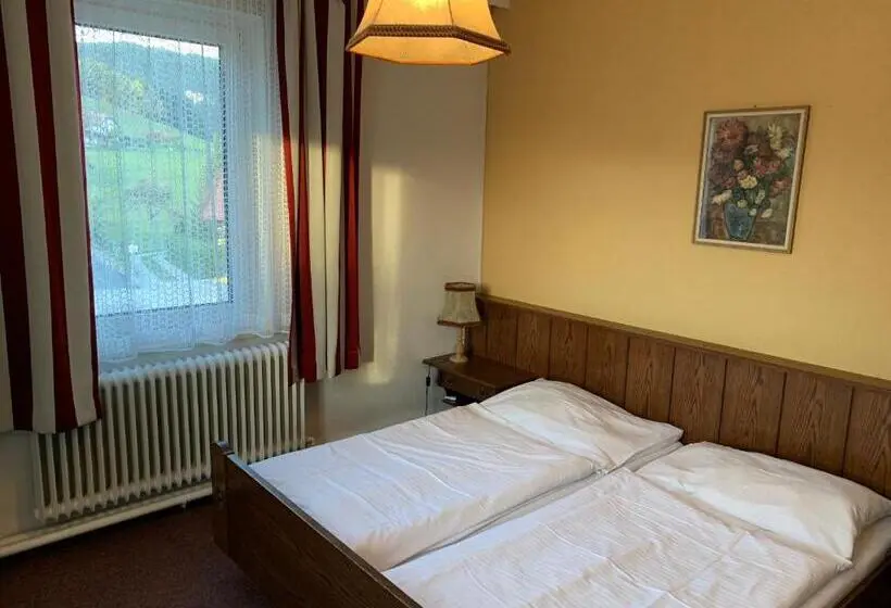 スタンダードルーム, Gasthof Seelhofer