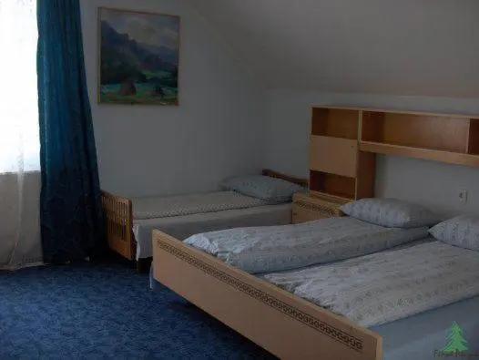 Standard Neljän Hengen Huone, Pensiunea Fenyő