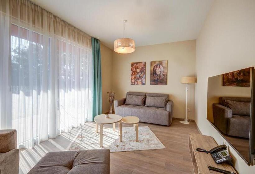 １ベッドルームのデラックスアパートメント, Eco Complex Zdravets