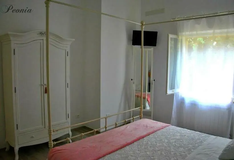 スタンダードルーム, Bed & Breakfast Le Azalee