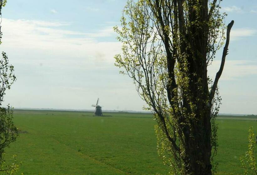 1ベッドルームハウス, Lyklamastate