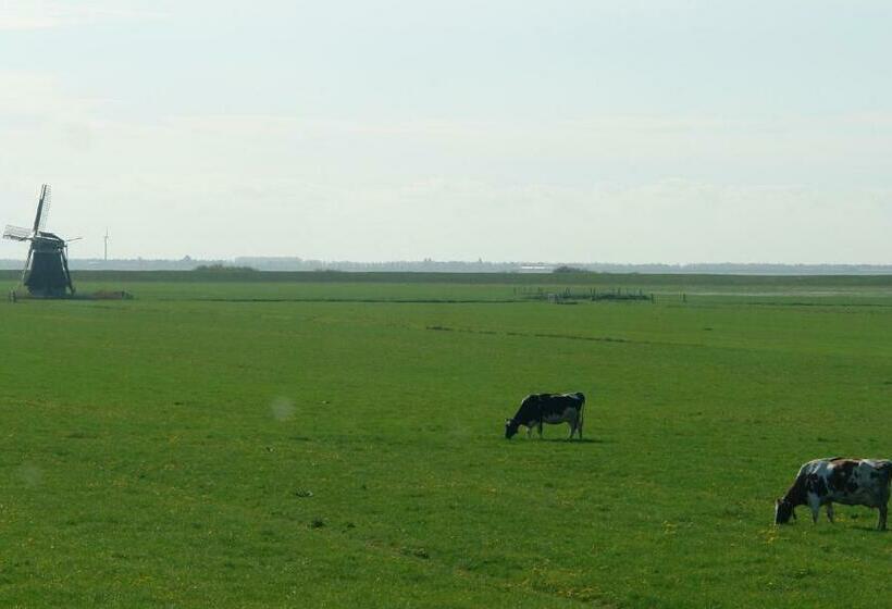 1ベッドルームハウス, Lyklamastate