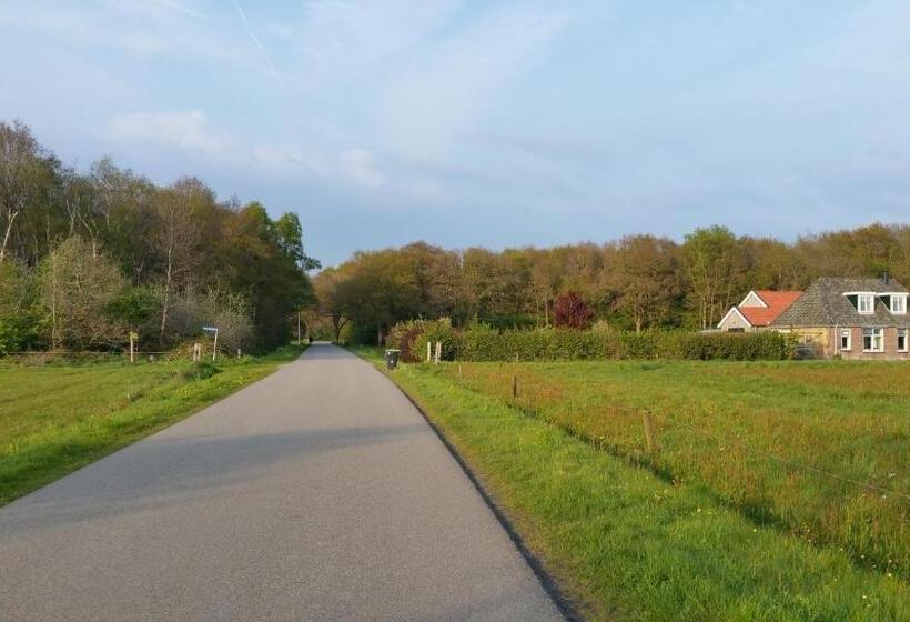 1ベッドルームハウス, Lyklamastate