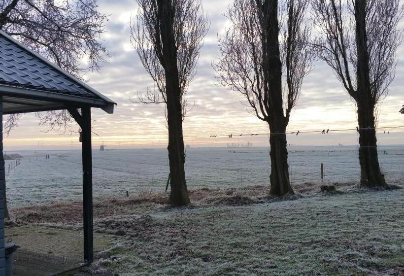 デラックスルーム, Lyklamastate