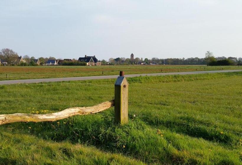 デラックスルーム, Lyklamastate