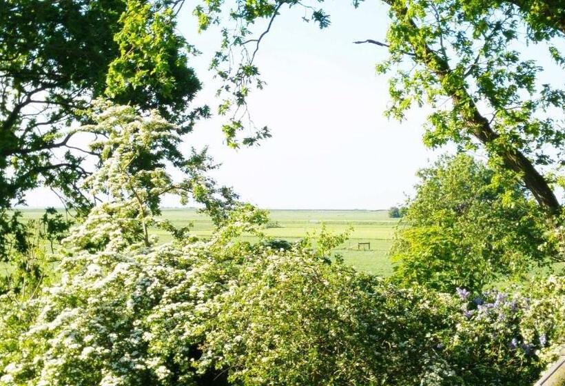 スタンダードルーム, Lyklamastate