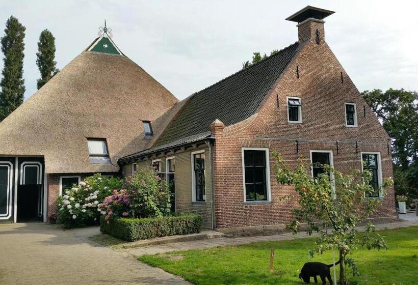 スタンダードルーム, Lyklamastate