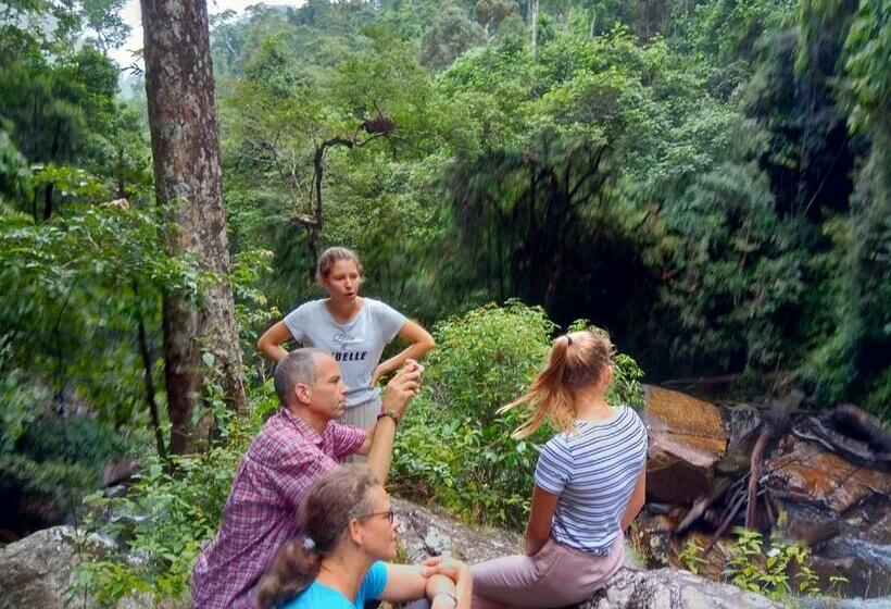 디럭스 룸, Evergreen Villa  Sinharaja