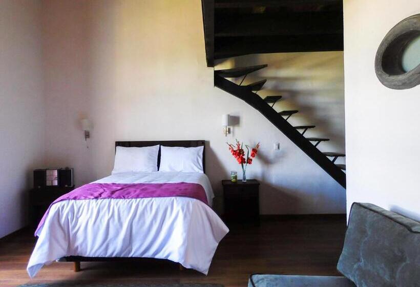 جناح دوبلكس, Hacienda La Noria Culture Boutique By Rotamundos