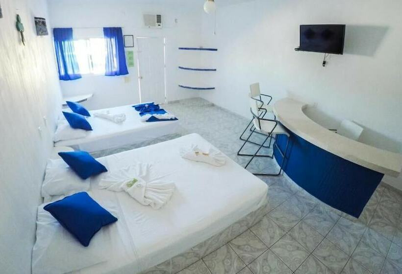 标准间, Paraiso Kora