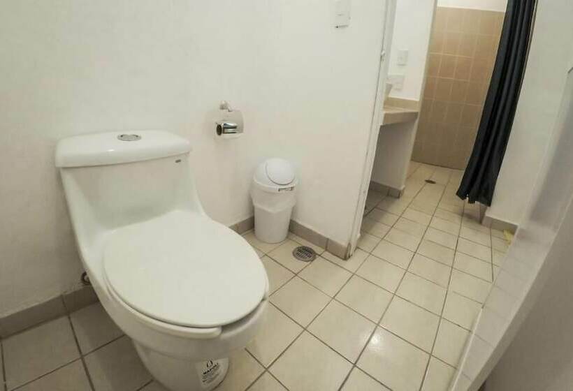 标准间, Paraiso Kora