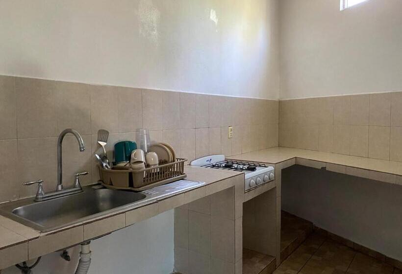 豪华房间, Paraiso Kora