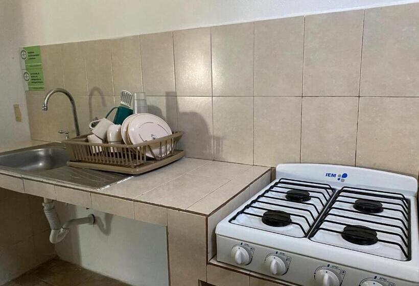 豪华房间, Paraiso Kora