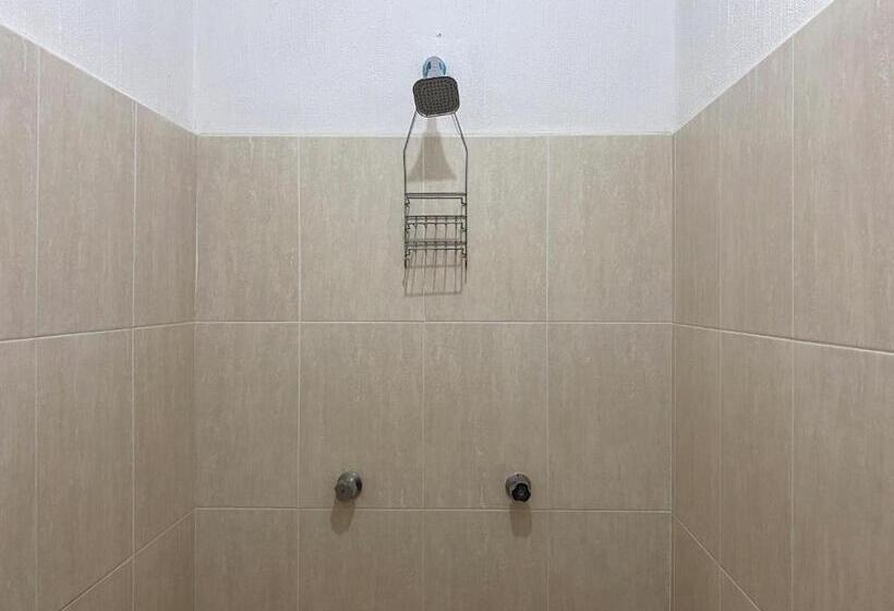 基本三人间, Paraiso Kora