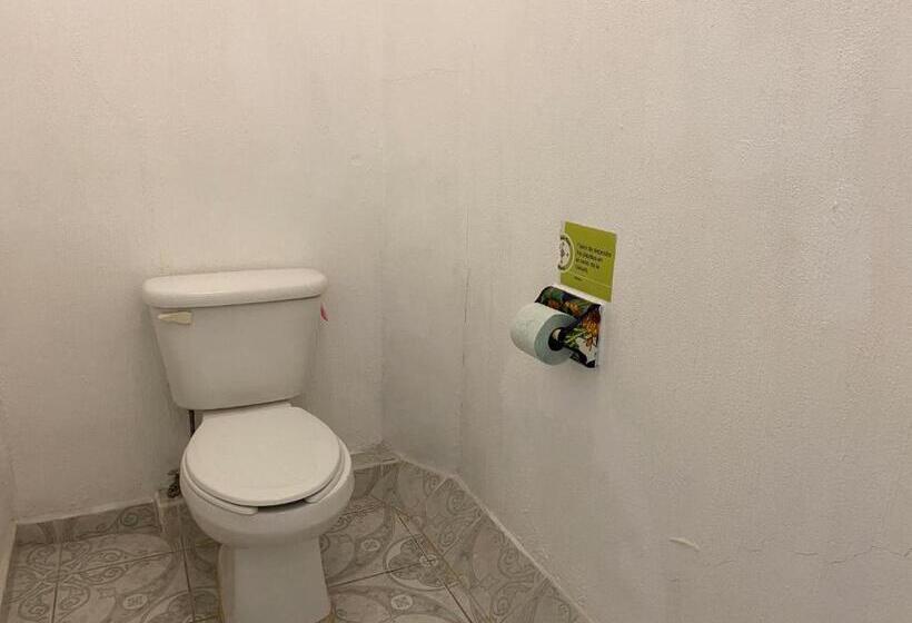 基本三人间, Paraiso Kora