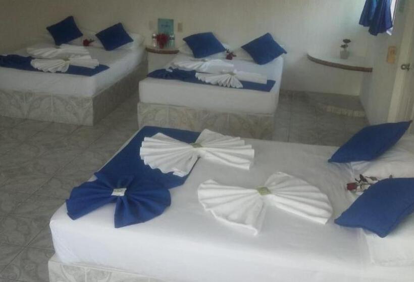 基本三人间, Paraiso Kora