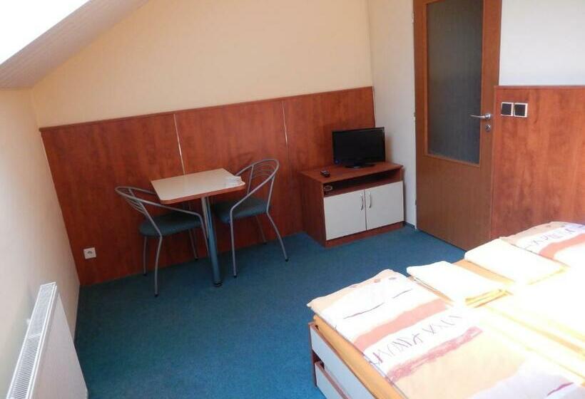 غرفة قياسية, Penzion Kaplna