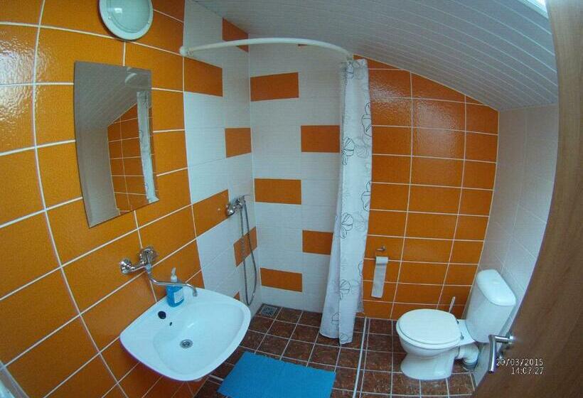 غرفة قياسية, Penzion Kaplna