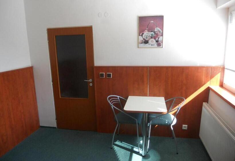 غرفة قياسية, Penzion Kaplna