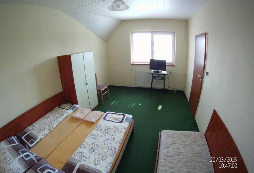 شقة غرفتين, Penzion Kaplna