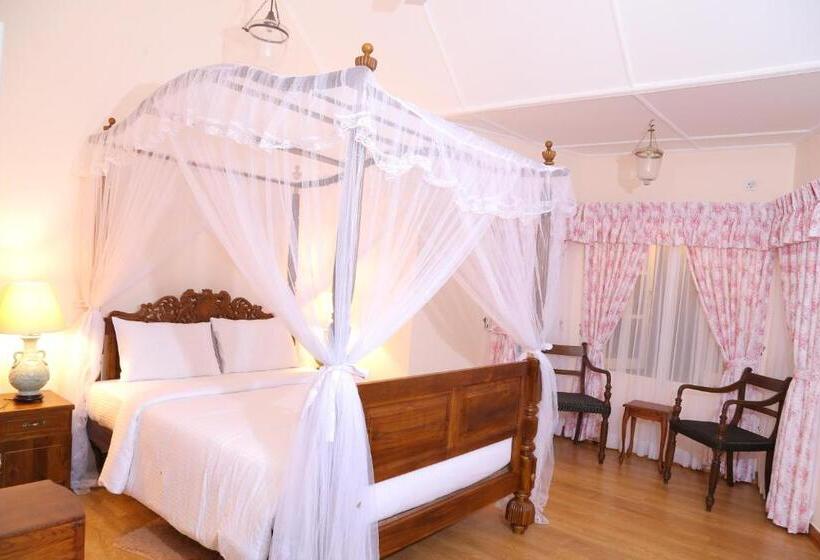 חדר סופריור, Rockbourne Bungalow