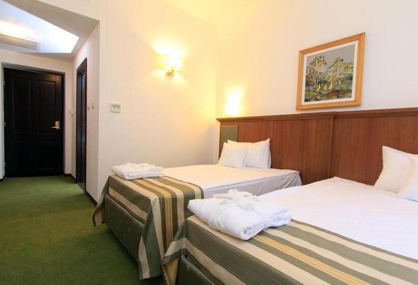 스탠다드 룸, Palace