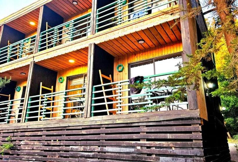 Номер Стандарт, Lodge Los Bosques