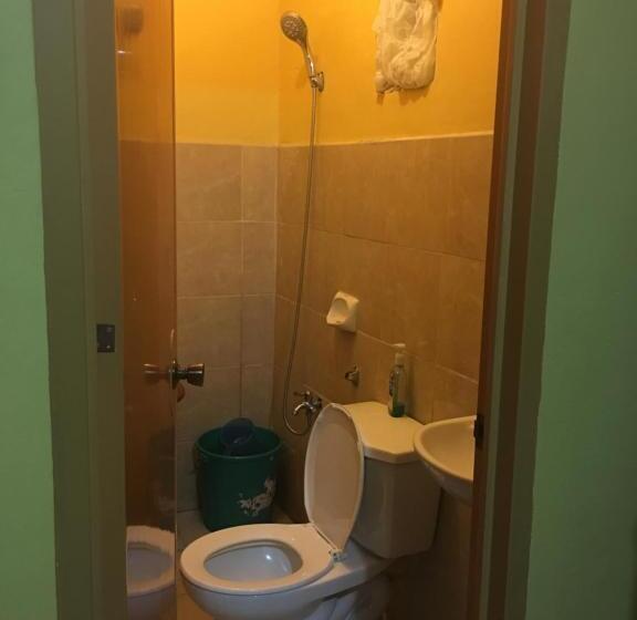 اتاق اکونومی یک تخته, Pines Mansion