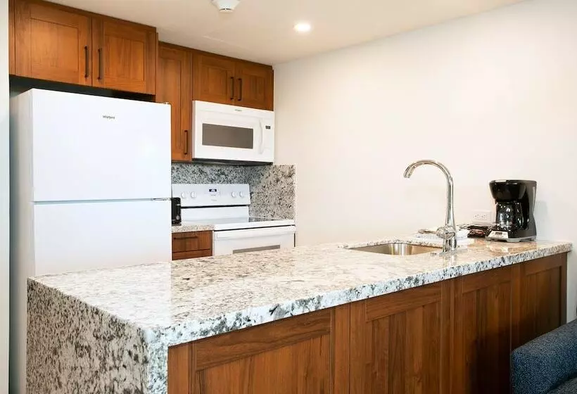 استودیو استاندارد با تخت کینگ, Hilton Vacation Club Flamingo Beach St. Maarten