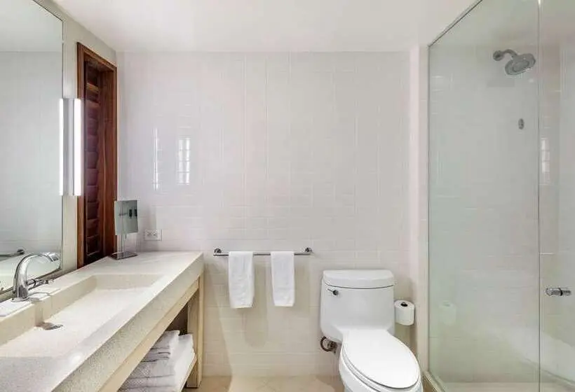استودیو استاندارد با تخت کینگ, Hilton Vacation Club Flamingo Beach St. Maarten