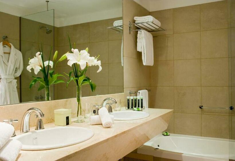 Suite Ejecutiva, Madero Buenos Aires