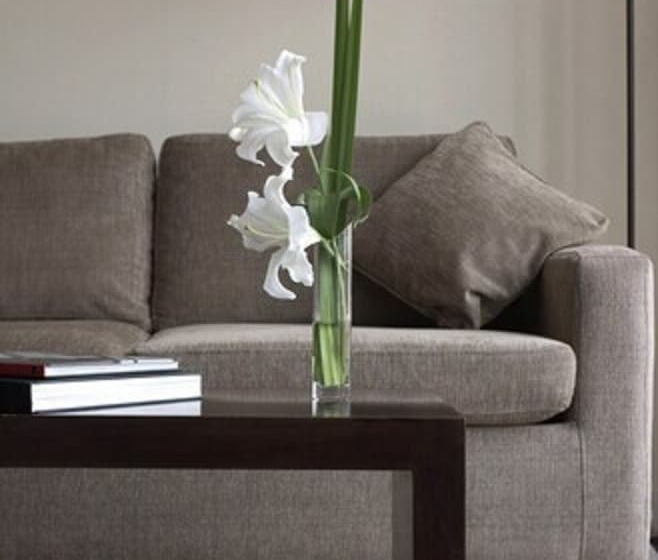 Suite Ejecutiva, Madero Buenos Aires