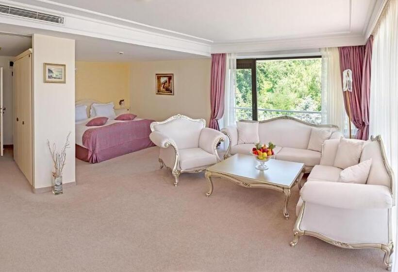 디럭스 테라스 룸 바다 전망, The Palace Hotel, Sunny Day