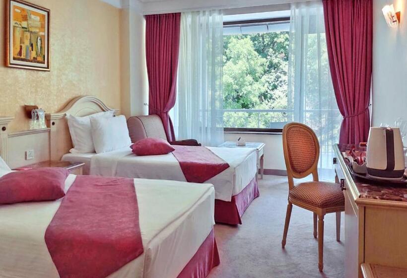 이코노미 룸, The Palace Hotel, Sunny Day