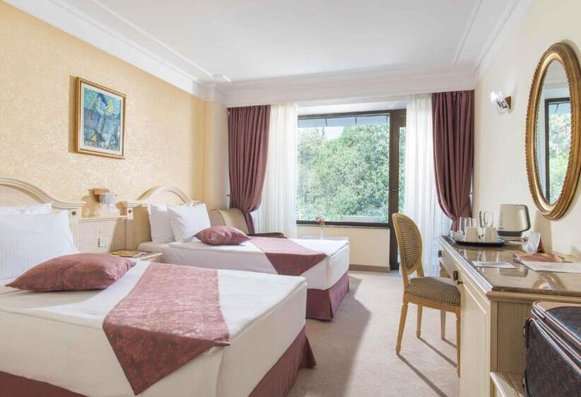 이코노미 룸, The Palace Hotel, Sunny Day