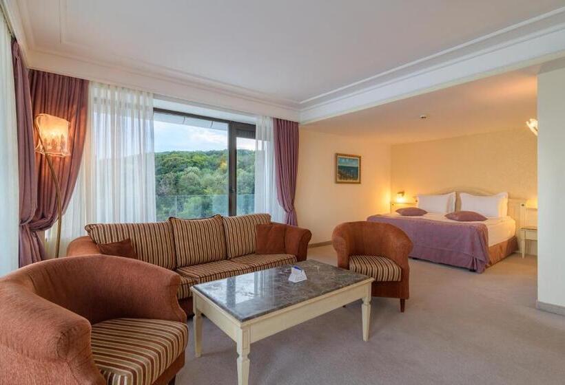 디럭스룸 공원 전망, The Palace Hotel, Sunny Day