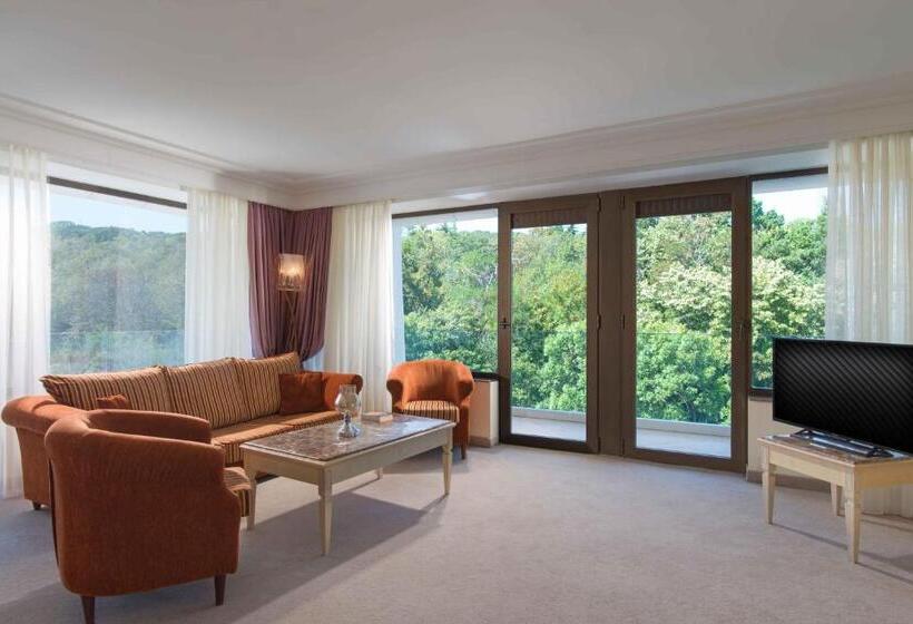 디럭스룸 공원 전망, The Palace Hotel, Sunny Day