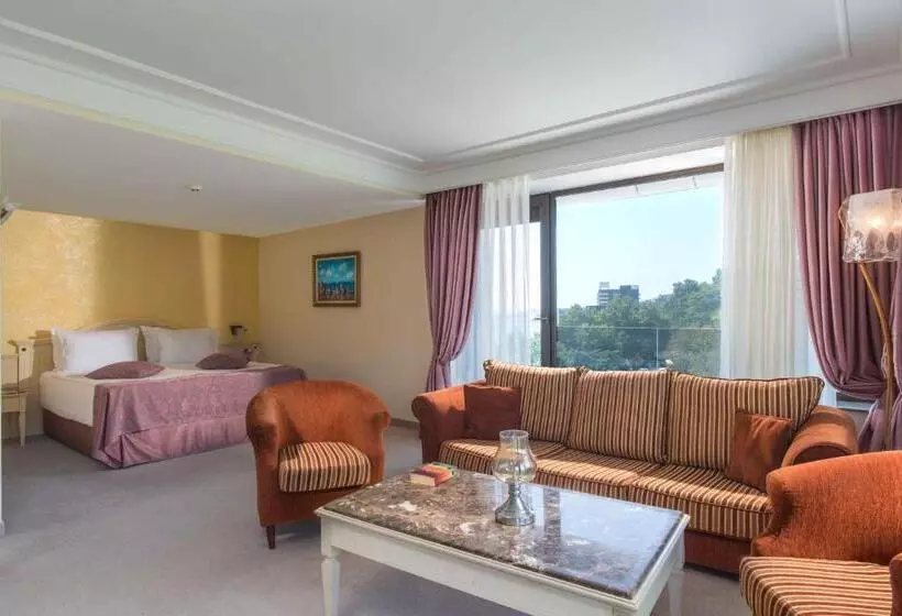 اتاق دلوکس با چشم‌انداز پارک, The Palace Hotel, Sunny Day