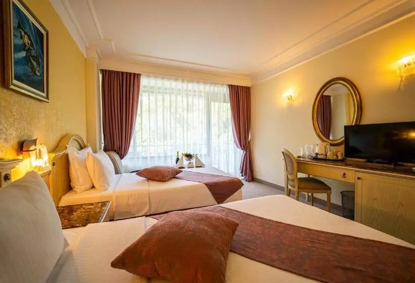 اتاق استاندارد با چشم‌انداز باغ, The Palace Hotel, Sunny Day