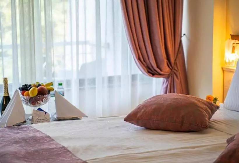اتاق استاندارد با چشم‌انداز باغ, The Palace Hotel, Sunny Day