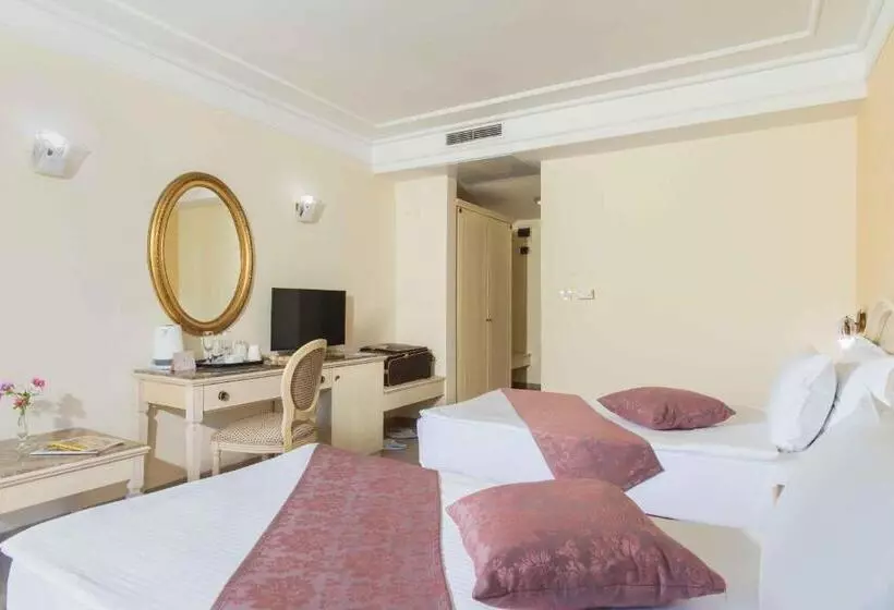 اتاق استاندارد با چشم‌انداز باغ, The Palace Hotel, Sunny Day
