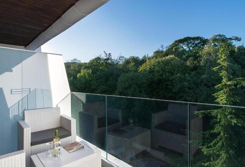 스탠다드 룸 가든 전망, The Palace Hotel, Sunny Day