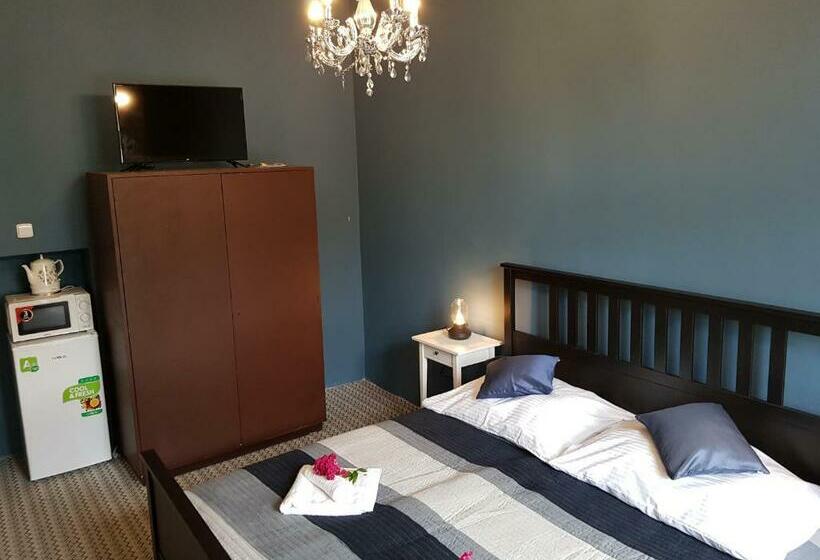 غرفة ديلوكس, Vila Janáčkova   1st Republic Villa